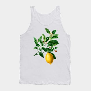 Lemon (Citrus Limonium)- Botanical Illustration Tank Top